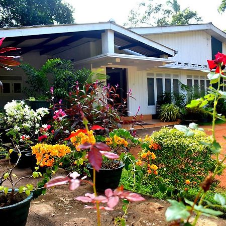 Molino Tourist Rest Anuradhapura Hotel Exterior photo