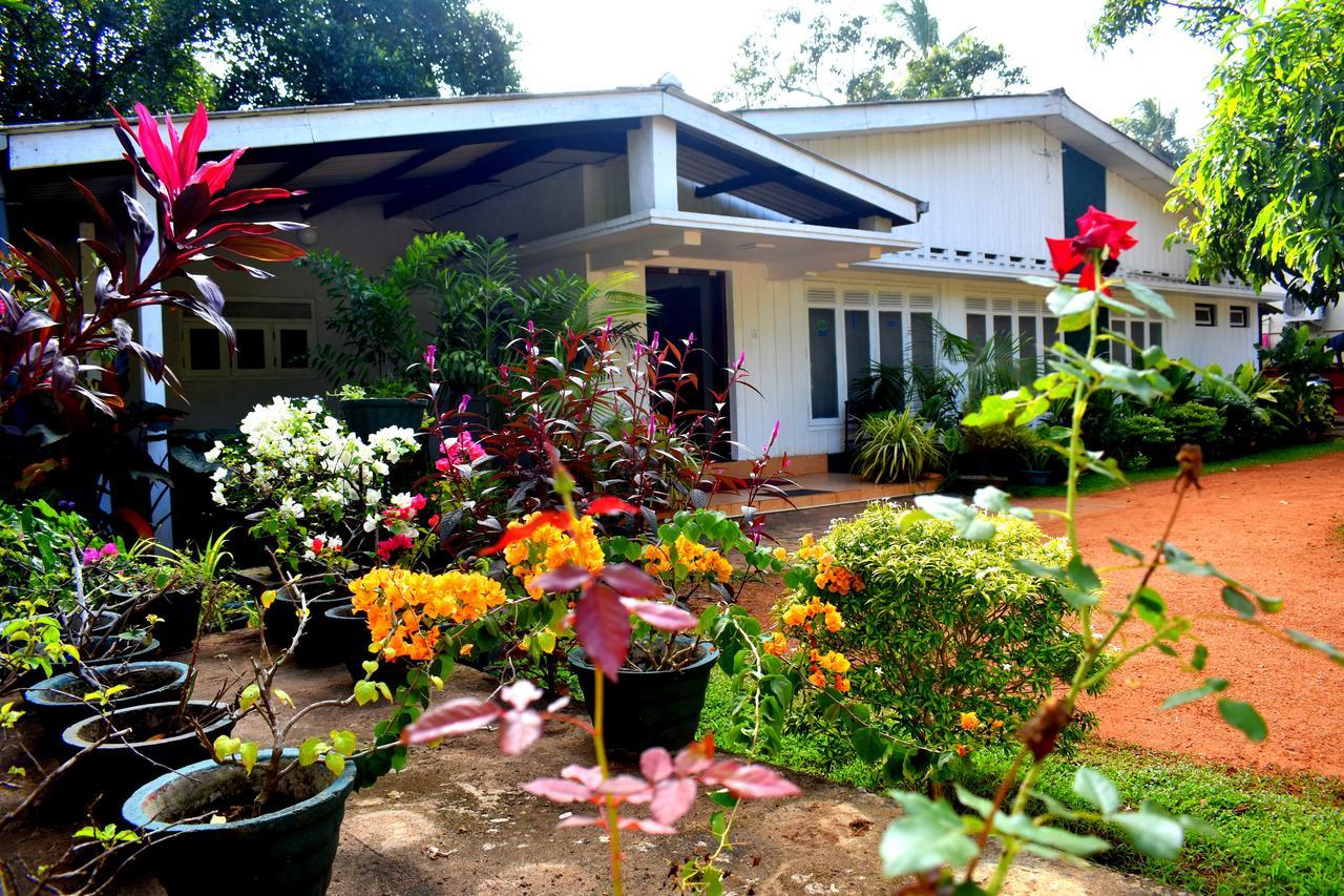 Molino Tourist Rest Anuradhapura Hotel Exterior photo